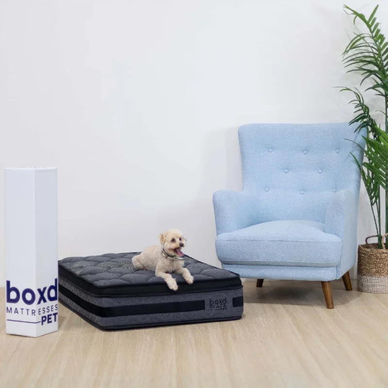 Boxd Black Pocket Coil Pet Mattress - Small